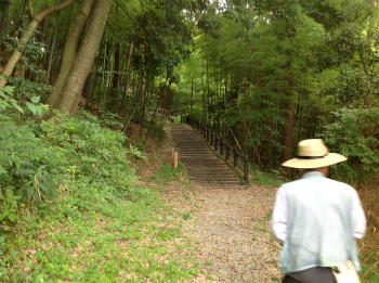公園の階段は竹藪の中　写真