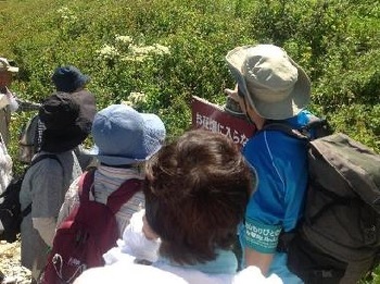 メンバーが観光客の皆さんに高山植物を説明中の写真