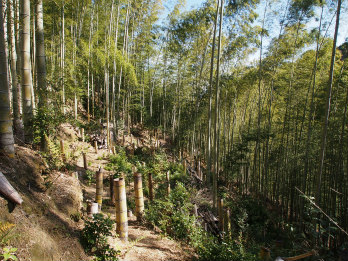 久保川と天王山の森を守る会の
