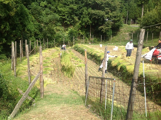 熊野・棚田を育てる会の活動写真