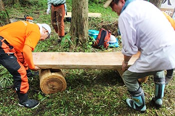 甲賀木の駅プロジェクト　活動の写真