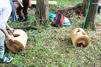 甲賀木の駅プロジェクト　活動の写真