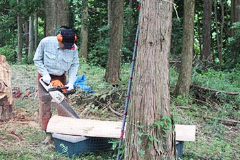 甲賀木の駅プロジェクト　活動の写真