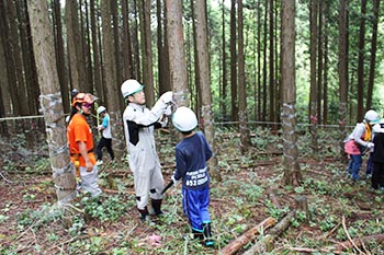 甲賀木の駅プロジェクト　活動の写真