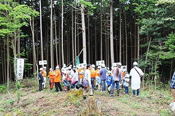 甲賀木の駅プロジェクト　活動の写真