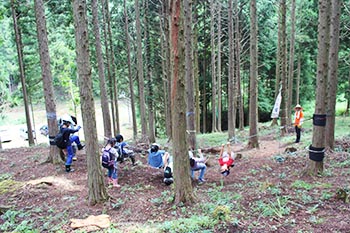 甲賀木の駅プロジェクト　活動の写真