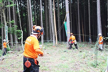 甲賀木の駅プロジェクト　活動の写真