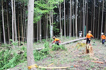甲賀木の駅プロジェクト　活動の写真