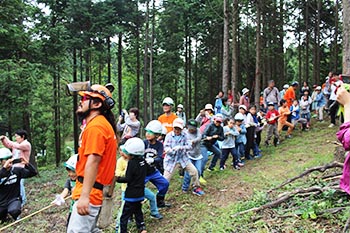 甲賀木の駅プロジェクト　活動の写真