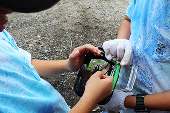 甲賀木の駅プロジェクト　活動の写真