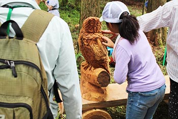 甲賀木の駅プロジェクト　活動の写真