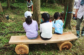 甲賀木の駅プロジェクト　活動の写真