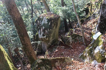 松尾寺山登山道保存会　活動の写真