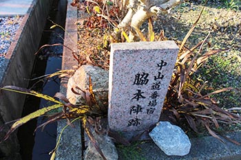 近江・里山の自然と文化財を学ぶ会の活動写真