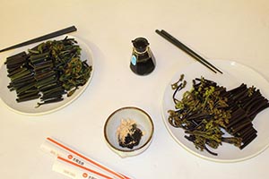 麻生里山センターの活動写真