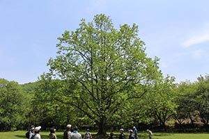 麻生里山センターの活動写真