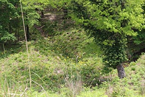 麻生里山センターの活動写真