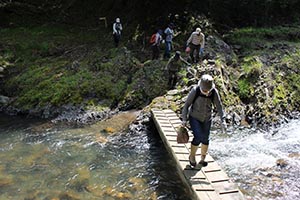 麻生里山センターの活動写真
