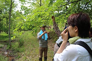 麻生里山センターの活動写真