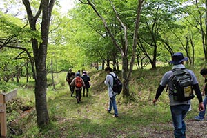 麻生里山センターの活動写真
