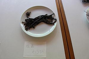 麻生里山センターの活動写真