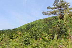 麻生里山センターの活動写真