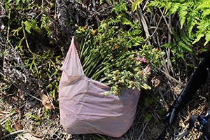 麻生里山センターの活動写真