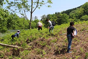 麻生里山センターの活動写真