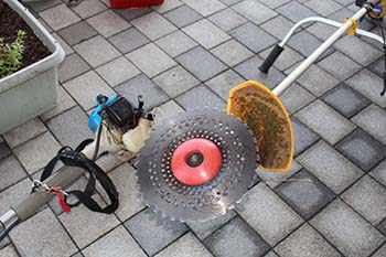 蒲生地区まちづくり協議会の活動の写真