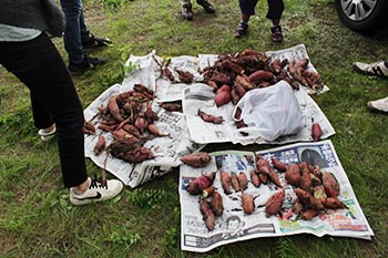 NPOぽぽハウス活動の写真