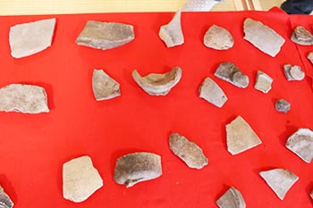 近江・里山の自然と文化財を学ぶ会の活動写真