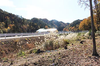 近江・里山の自然と文化財を学ぶ会の活動写真