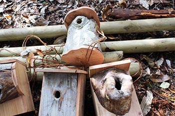 近江・里山の自然と文化財を学ぶ会の活動写真