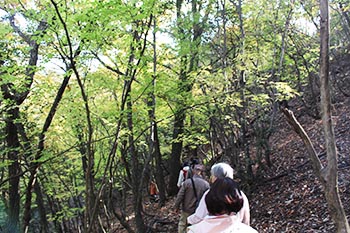 近江・里山の自然と文化財を学ぶ会の活動写真