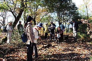 近江・里山の自然と文化財を学ぶ会の活動写真