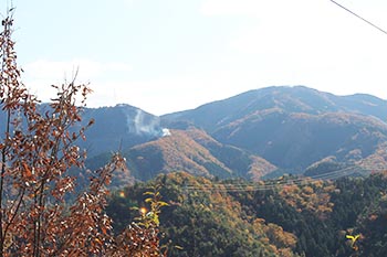 近江・里山の自然と文化財を学ぶ会の活動写真