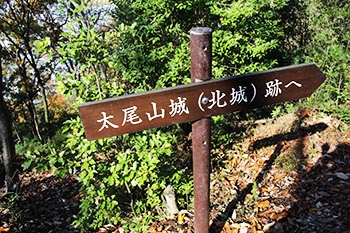 近江・里山の自然と文化財を学ぶ会の活動写真