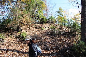 近江・里山の自然と文化財を学ぶ会の活動写真