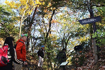近江・里山の自然と文化財を学ぶ会の活動写真