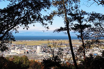 近江・里山の自然と文化財を学ぶ会の活動写真