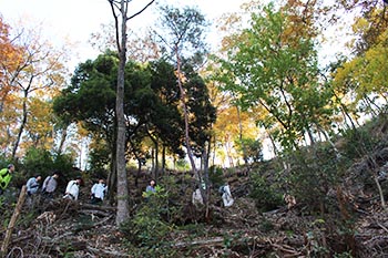 近江・里山の自然と文化財を学ぶ会の活動写真