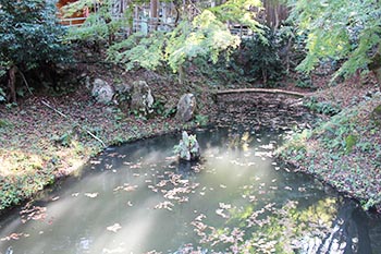 近江・里山の自然と文化財を学ぶ会の活動写真