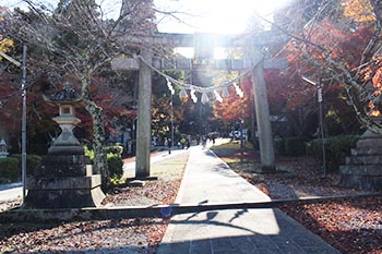 近江・里山の自然と文化財を学ぶ会の活動写真