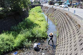 古橋のオオサンショウウオを守る会の活動写真