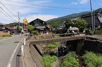 古橋のオオサンショウウオを守る会の活動写真