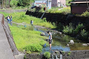古橋のオオサンショウウオを守る会の活動写真