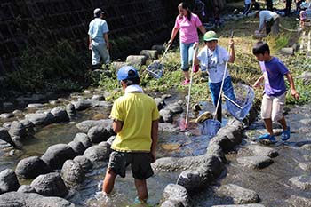 古橋のオオサンショウウオを守る会の活動写真