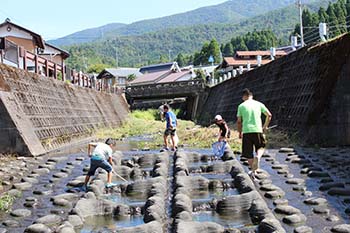 古橋のオオサンショウウオを守る会の活動写真