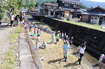 古橋のオオサンショウウオを守る会の活動写真
