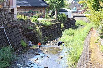 古橋のオオサンショウウオを守る会の活動写真